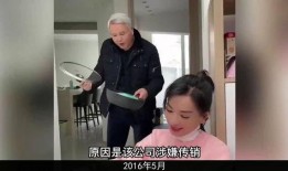 娱乐圈间谍爆料事件,揭秘明星背后的秘密风云